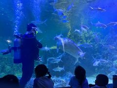 -嘉兴海底世界