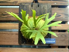 -国家植物园南园