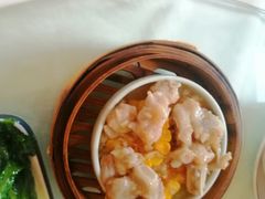 -卡尔顿东方银龙酒店•广西菜•早茶