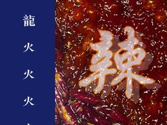 -大龙燚火锅(天钥桥路店)
