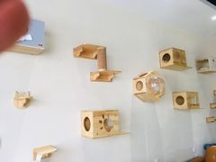 -藏猫猫咖啡主题馆(中央大道店)