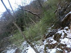 iphone_upload_pic-塔云山