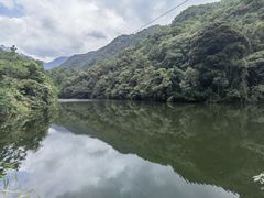-雁南飞茶田景区