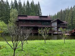 -黄海国家森林公园