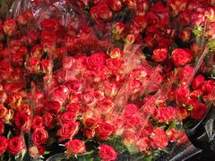 -循礼门鲜花花市(武汉循礼门店)