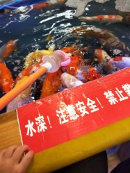 点击看大图 -孩子王童乐园(合肥瑶海万达店)