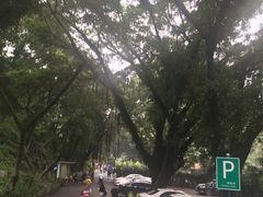 -晓港公园