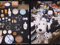 -桂林市花鸟市场