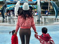 -海合安成都极地海洋公园