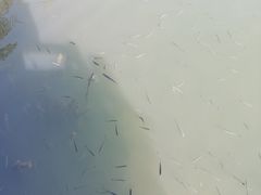 -太湖湖滨国家湿地公园-停车场