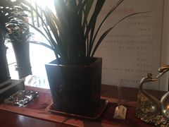 -大唐盲人按摩中心(黄山路店)