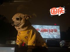 -枫花园汽车电影院(朝阳公园店)
