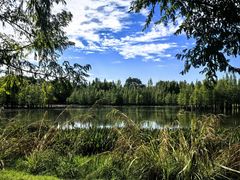 -白鹭湾湿地公园