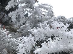 -硗碛藏寨·神木垒景区