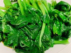葱油菜心-西贝(厦门中华城店)