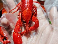 -0574龙虾的故事(东裕店)