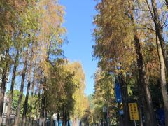 -南沙天后宫景区
