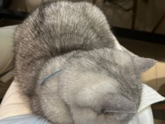 -Oasis绿洲银饰珍珠手作diy(壹方城店)