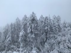 -瓦屋山景区