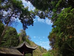 -江西阳明山国家森林公园