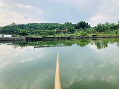 -荔枝红五号农庄