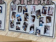 -东日国际动物医院·CT·心脏专科(桃源分院)