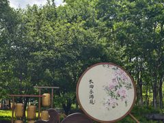 -长田漾湿地公园