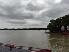 -上海海湾国家森林公园