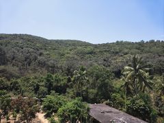 -海南热带雨林国家公园吊罗山景区
