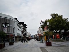 miss可可宝藏茶-奈雪的茶(观前街店)