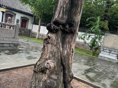 -华山风景区-华阳宫