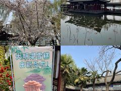 -济南大明湖景区