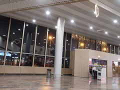 -谢列梅捷沃国际机场