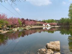 -石家庄市植物园