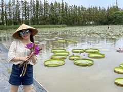 -上海长兴岛郊野公园