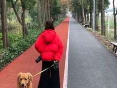 -上海长兴岛郊野公园