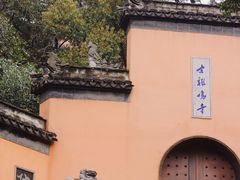 -鸡鸣赐茶(鸡鸣寺路店)