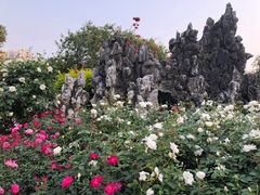 -人民公园(罗湖区)