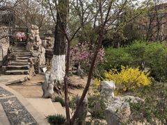 -桃花堤公园