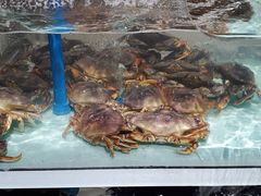 -盒马鲜生(新都心店)
