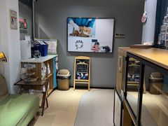 -御宝贝·A梦猫科宠物医院(国际猫友好医院)