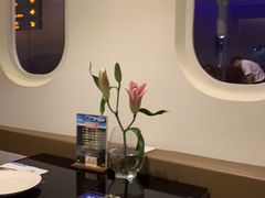 -赫帝拉航空主题餐厅(南宁店)