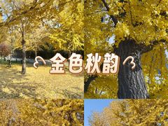 -望湖公园