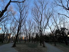 -玲珑塔公园