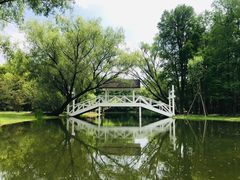 -上海共青森林公园