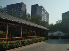 -中国中医科学院望京医院(院本部)