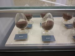 -鄞州雪菜博物馆