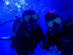 -烟台海昌鲸鲨海洋公园