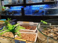 水产区-寻味顺德·珍之宝酒楼(银钻店)