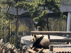 -大连森林动物园